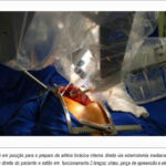 Imagem 2 da galeria
