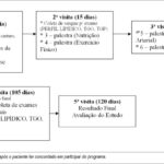 Imagem 1 da galeria