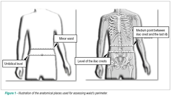 Anthropometric indicators of insulin resistance