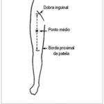 Imagem 3 da galeria