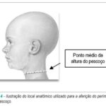 Imagem 4 da galeria