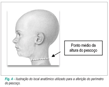 Imagem 4 da galeria