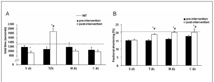 Association of physical training with beta-blockers in heart failure in mice