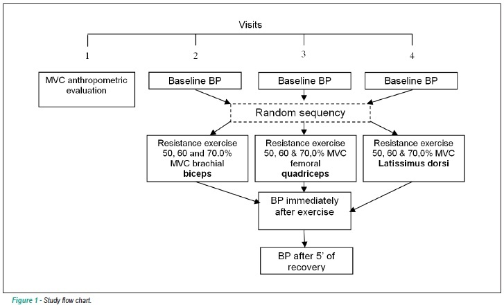 Pressure response after resistance exercise for different body segments in hypertensive people
