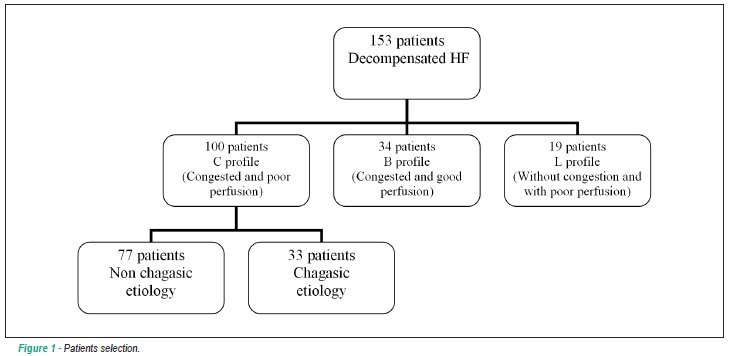 Chagas cardiomyopathy: prognosis in clinical and hemodynamic profile C