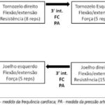 Imagem 1 da galeria