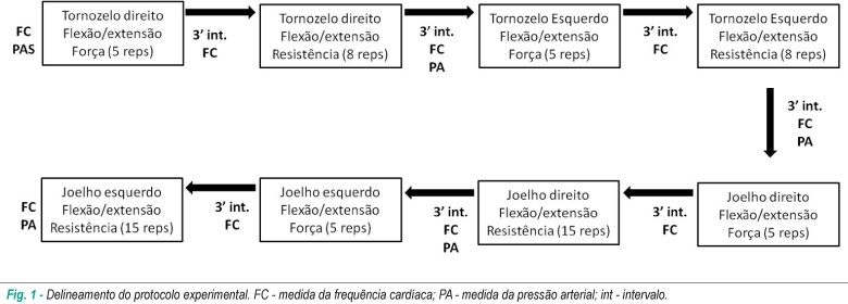 Imagem 1 da galeria