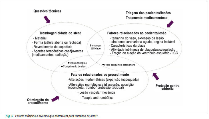 Imagem 6 da galeria