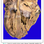 Imagem 5 da galeria
