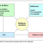 Imagem 1 da galeria