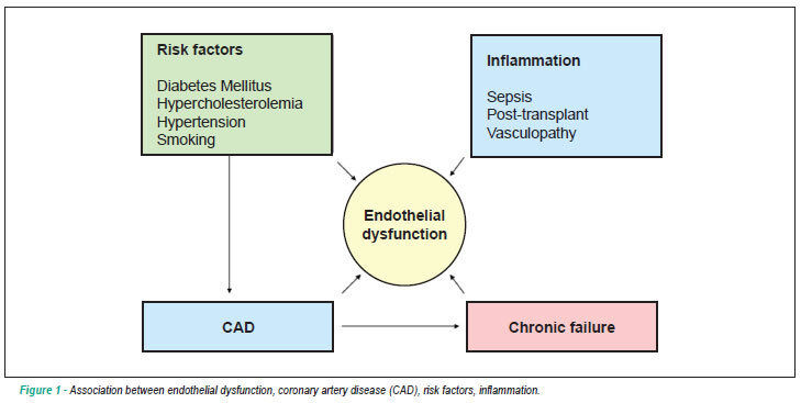Physical exercise and endothelial dysfunction