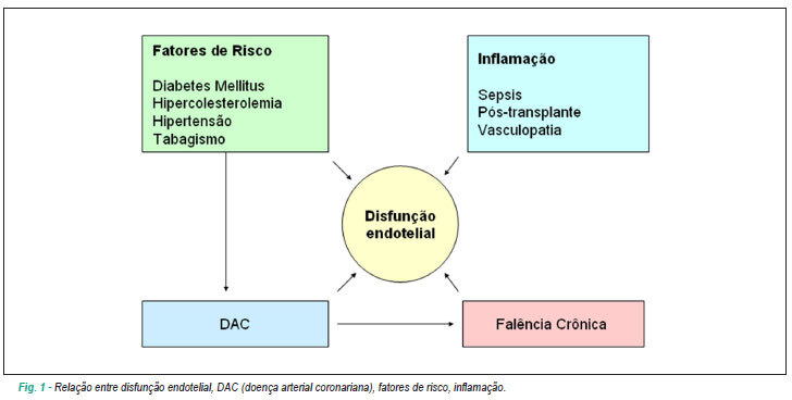 Imagem 1 da galeria