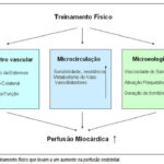 Imagem 2 da galeria