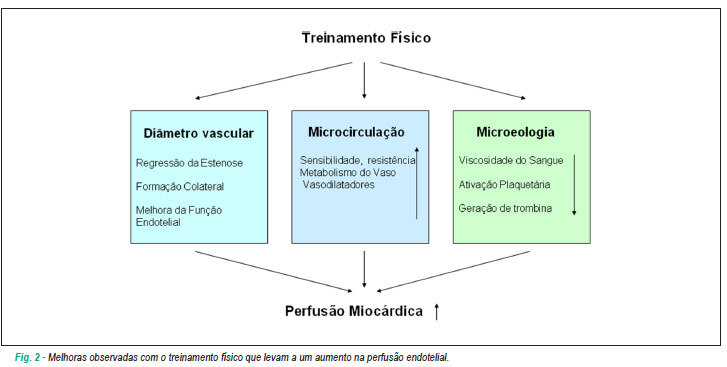 Imagem 2 da galeria