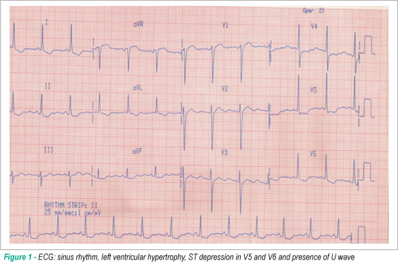Case 6/2010 - 70-year-old Hypertensive and diabetic female patient with interstitial and bilateral pulmonary alveolar infiltrate, dry cough, dyspnea, loss of appetite and no fever