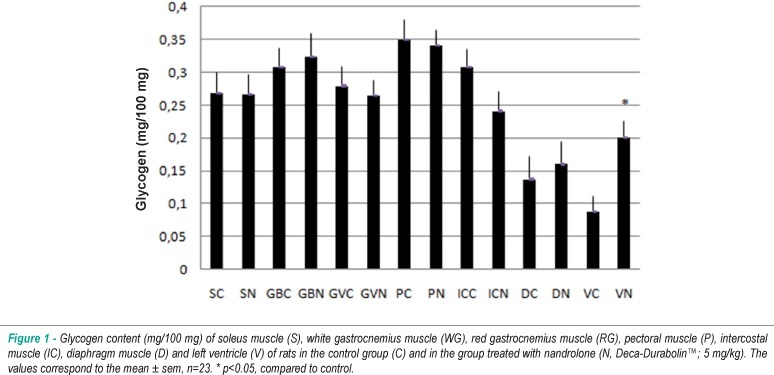 Electrocardiographic profile and muscle glycogen content of rats treated with nandrolone