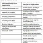 Imagem 2 da galeria