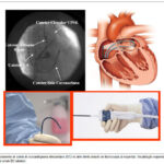 Imagem 1 da galeria
