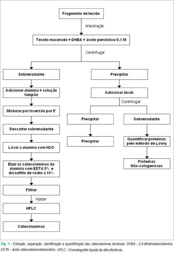 Ativação adrenérgica intramiocárdica na cardiomiopatia chagásica e doença arterial coronariana