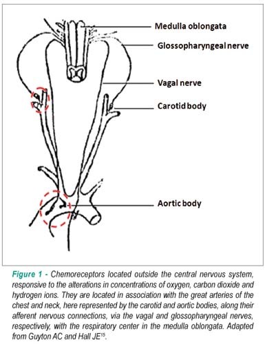 Behavior of central and peripheral chemoreflexes in heart failure
