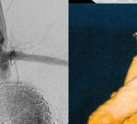 Imagem 3 da galeria