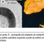 Imagem 4 da galeria