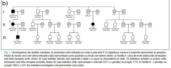 Imagem 1 da galeria