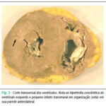 Imagem 3 da galeria
