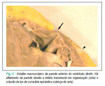 Imagem 4 da galeria