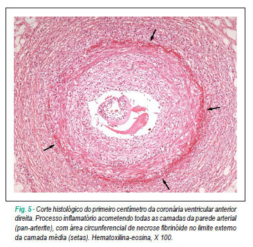 Imagem 5 da galeria