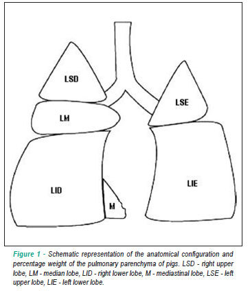 Hemodynamic effects of experimental acute right ventricular overload