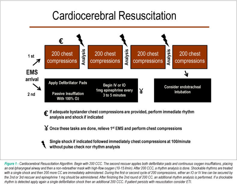 Optimized approach in cardiocerebral resuscitation