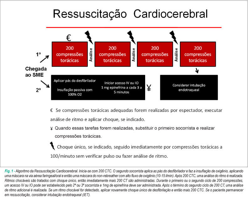 Imagem 1 da galeria