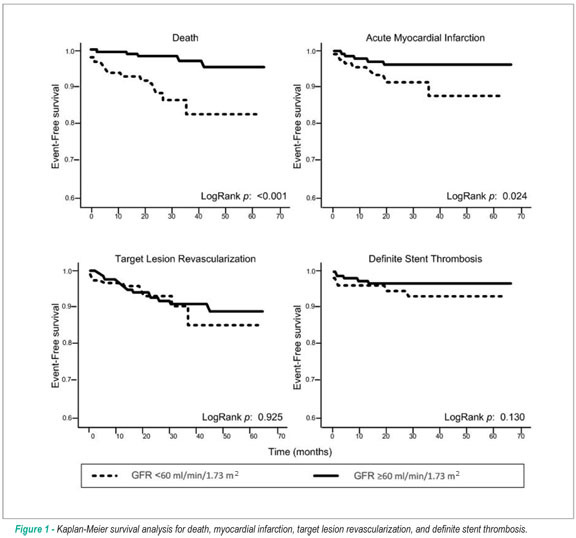 Impact of chronic kidney disease on the efficacy of drug-eluting stents: long-term follow-up study