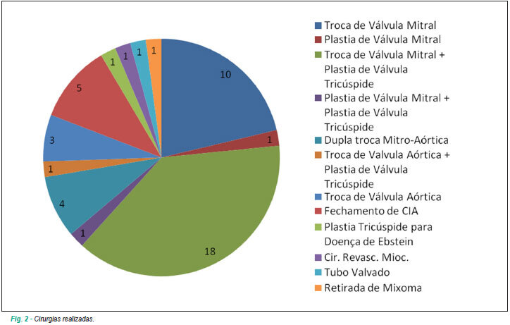 Imagem 2 da galeria