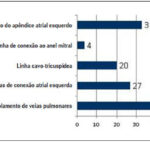 Imagem 3 da galeria