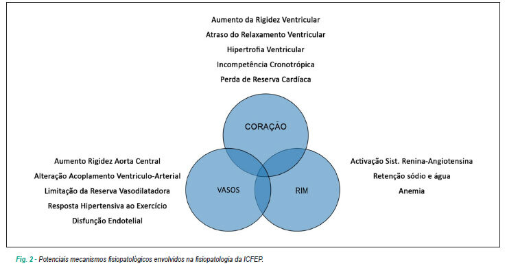 Imagem 2 da galeria