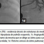 Imagem 2 da galeria