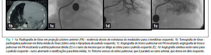 Imagem 2 da galeria