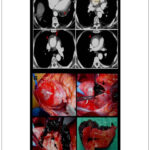 Imagem 1 da galeria