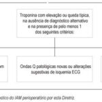 Imagem 1 da galeria