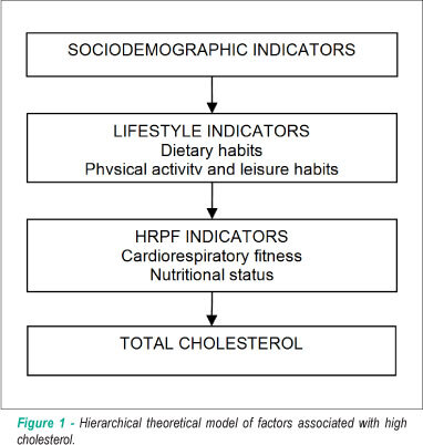 Associated factors to total cholesterol: school based study in southern Brazil