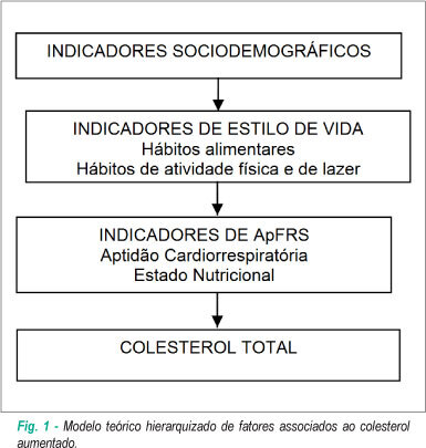 Colesterol total e fatores associados: estudo de base escolar no sul do Brasil