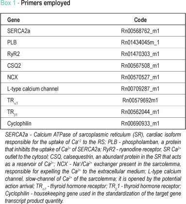 Upregulation of mRNA myocardium calcium handling in rats submitted to exercise and food restriction