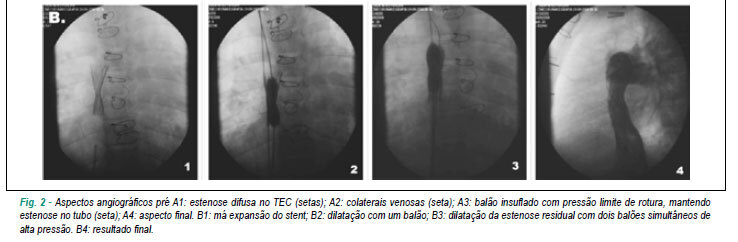 Imagem 3 da galeria