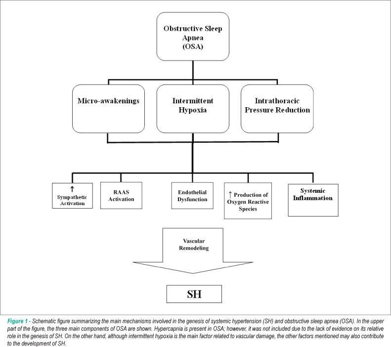 Recent advances of the impact of obstructive sleep apnea on systemic hypertension