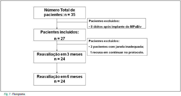 Imagem 8 da galeria