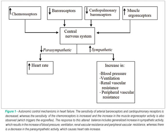 Ergoreflex activity in heart failure