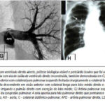 Imagem 6 da galeria