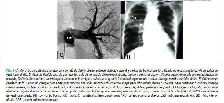 Imagem 6 da galeria